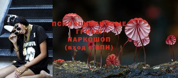 соль ск Вязники